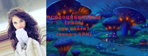apvp Абаза